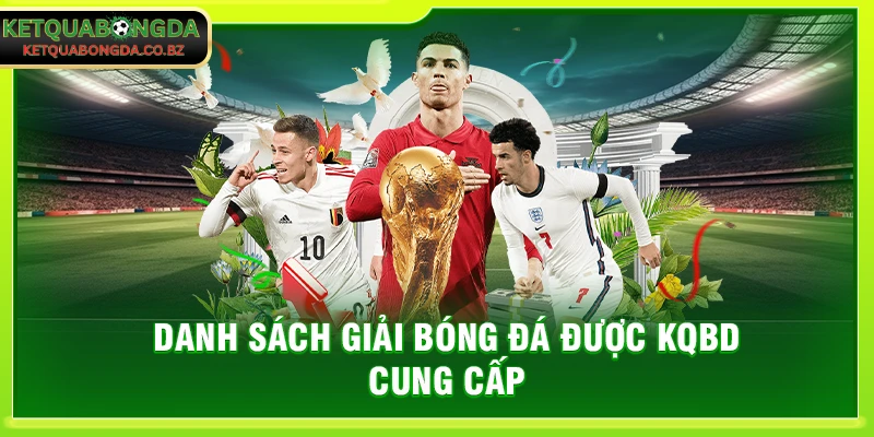 Danh sách giải bóng đá được KQBD cung cấp 