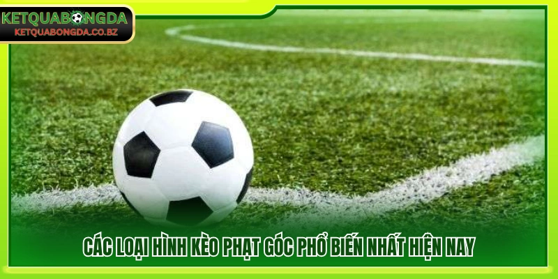Những dạng kèo góc thường gặp trong cá cược