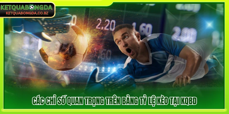 Những chỉ số nổi bật trên bảng tỷ lệ cược tại kết quả bóng đá